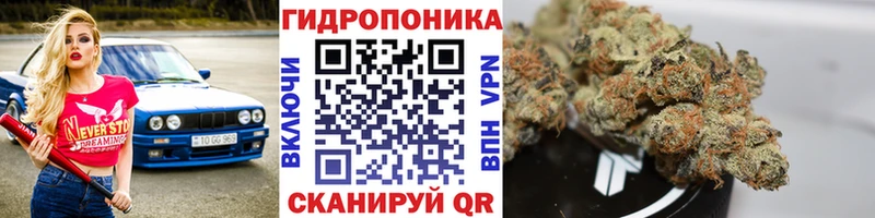 Канабис гибрид  наркота  Улан-Удэ 
